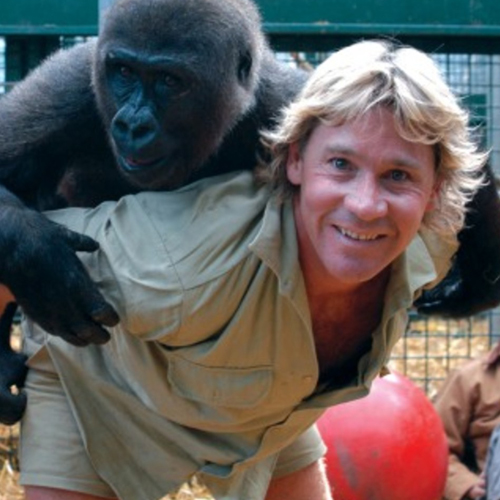 Steve Irwin-Born: 22 February 1962-4 September 2006